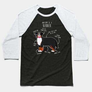 Bernese Mountain Dog Anatomy Baseball T-Shirt